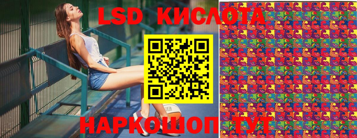 Бердск  Наркотические марки 1,8мг  Наркотические марки 1,8мг  Вход с VPN 